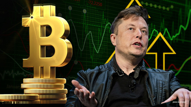 Hơn một nửa số người Úc nghĩ rằng Elon Musk đã phát minh ra Bitcoin - Ảnh 2.