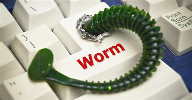 Worm là gì? Tại sao chúng lại nguy hiểm với máy tính? - Ảnh 1. Worm là gì? Tại sao chúng lại nguy hiểm với máy tính? - Ảnh 1.